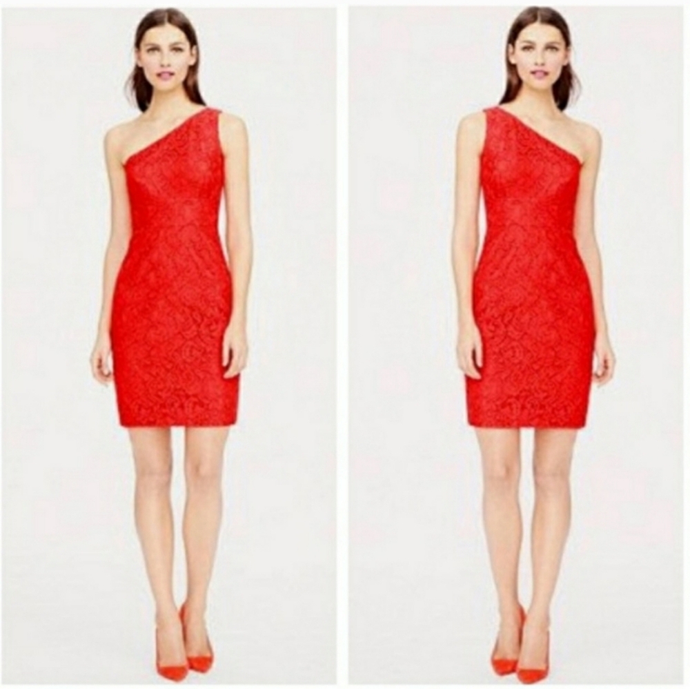 COPY - NWT J. Crew Alexa Dress in Leavers Lace